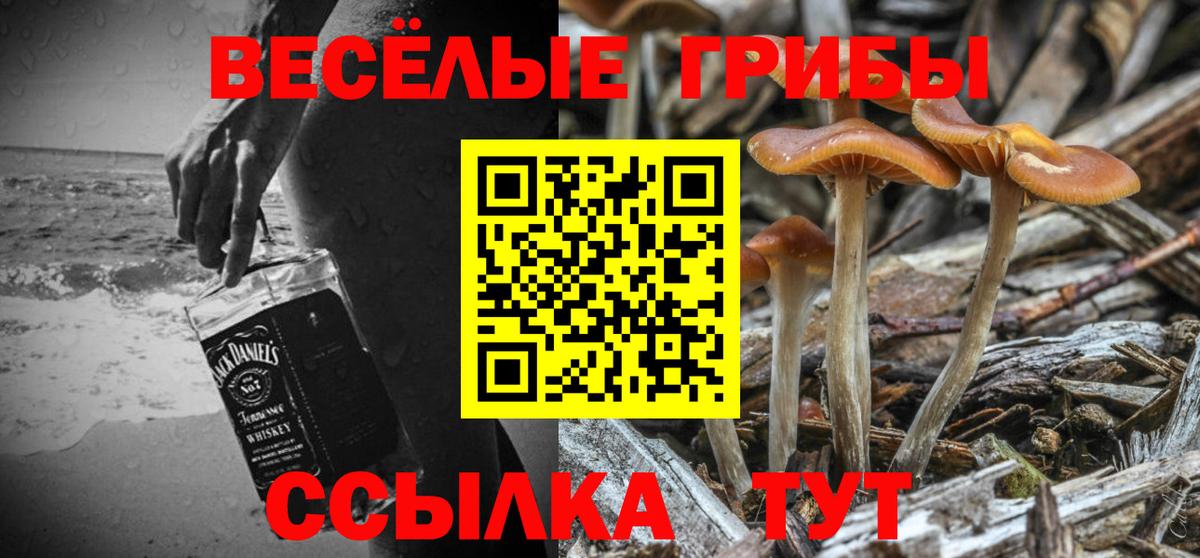 Галлюциногенные грибы Psilocybine cubensis Электросталь