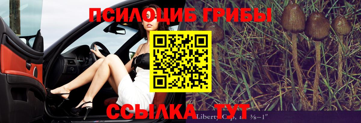 Галлюциногенные грибы Cubensis  Псилоцибиновые грибы Magic Shrooms  Электросталь  где купить наркотик  Вход с VPN 